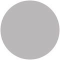 Flint Grey